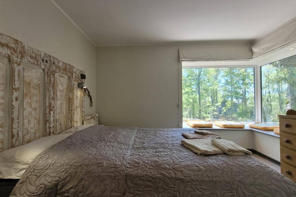 Apartamento Departamento En La Magia Del Sur Pucón